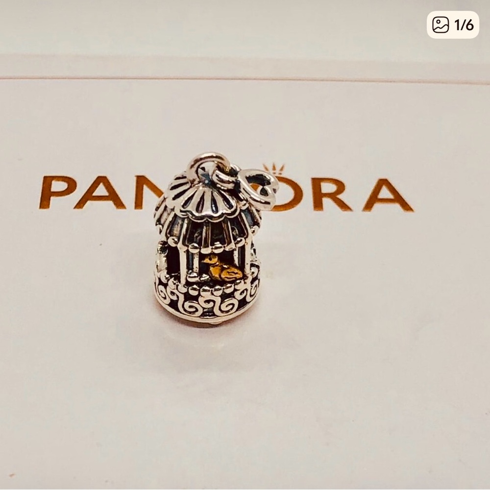 Pandora Silver and Gold Bird Cage Charm